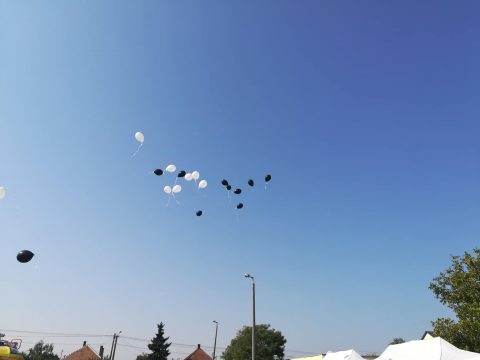 42310686_1210151325790309_3353574081772388352_n